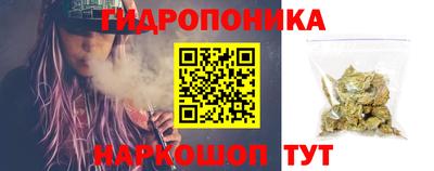 ПСИЛОЦИБИНОВЫЕ ГРИБЫ Свободный